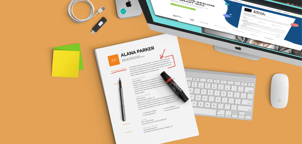 Beyond The Resume: Professional Summary Examples And Guide